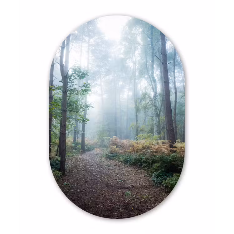 Muurovaal - Bos - Mist - Pad — 3