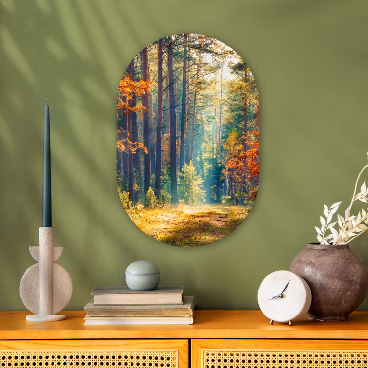 Muurovaal - Bos - Zon - Natuur - Herfst — 1