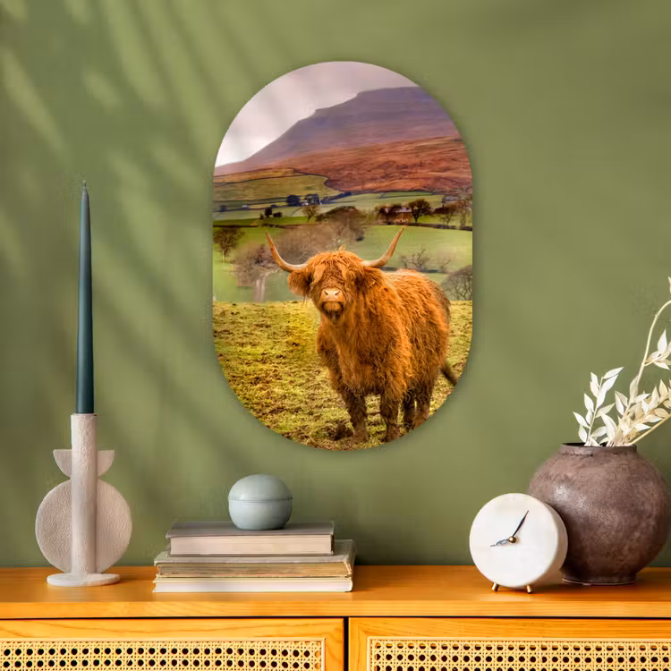 Muurovaal - Schotse hooglander - Bergen - Natuur — 1