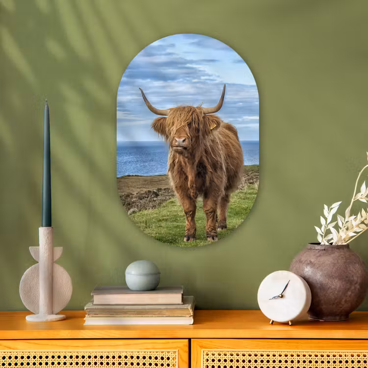 Muurovaal - Schotse Hooglander - Water - Horens — 1
