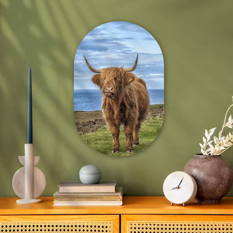 Muurovaal - Schotse hooglander - Wolken - Landschap — 3