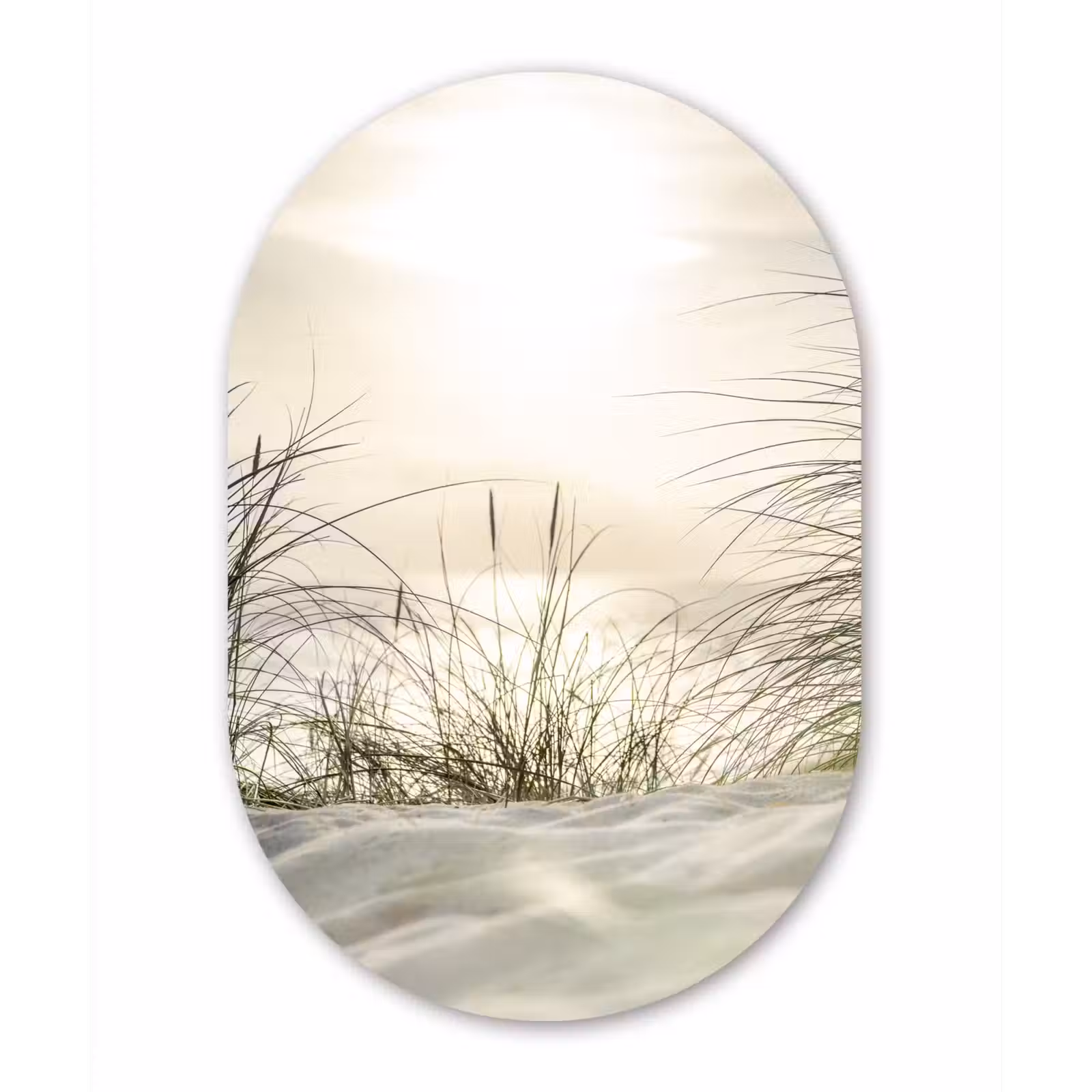 Muurovaal - Duinen aan de Waddenzee — 1