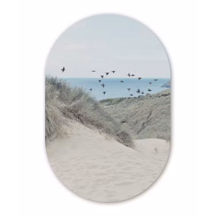 Muurovaal - Strand - Vogel - Zee — 2