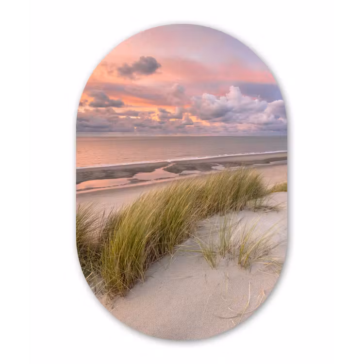Muurovaal - Strand - Zee - Duin - Nederland - Roze — 2
