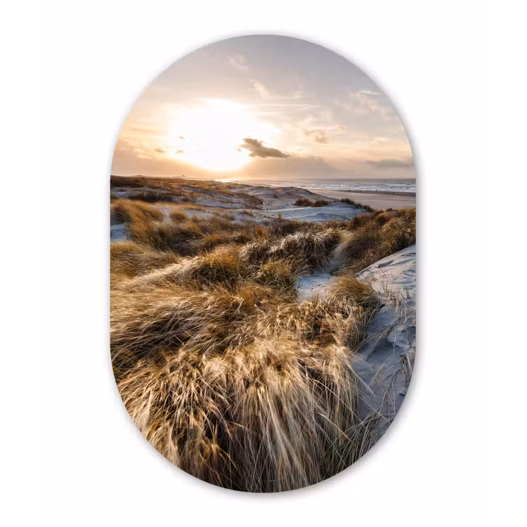 Muurovaal - Strand - Zee - Scheveningen - Nederland — 2