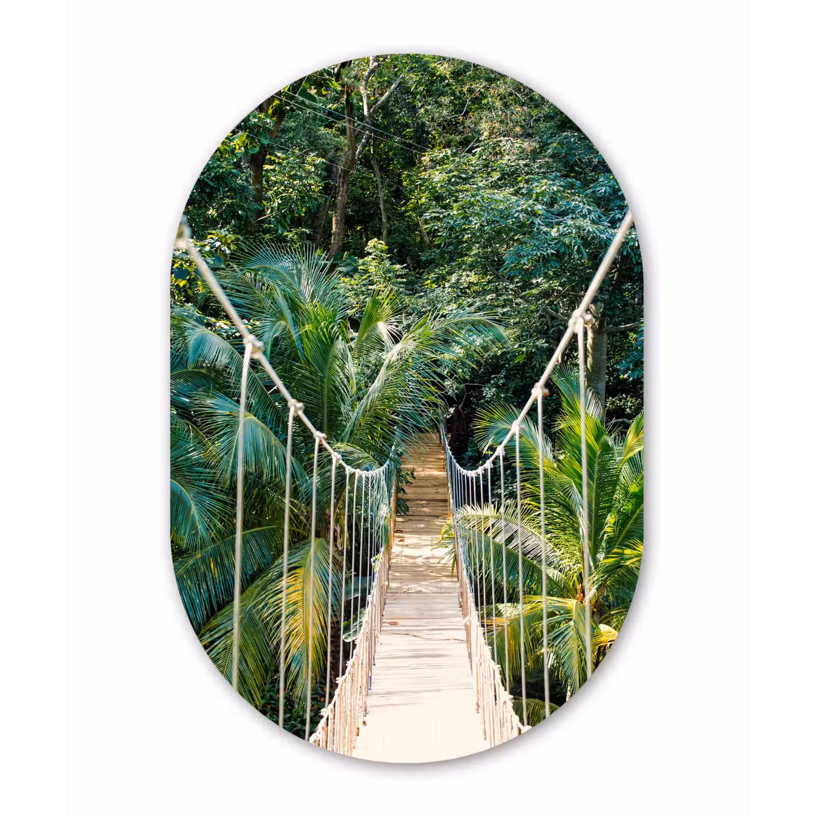 Muurovaal - Jungle - Palmboom - Brug - Natuur - Planten — 1