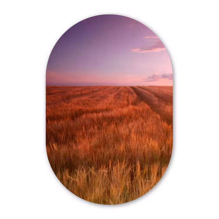 Muurovaal - Kunststof - Grasveld - Zon - Avond - Landschap — 1