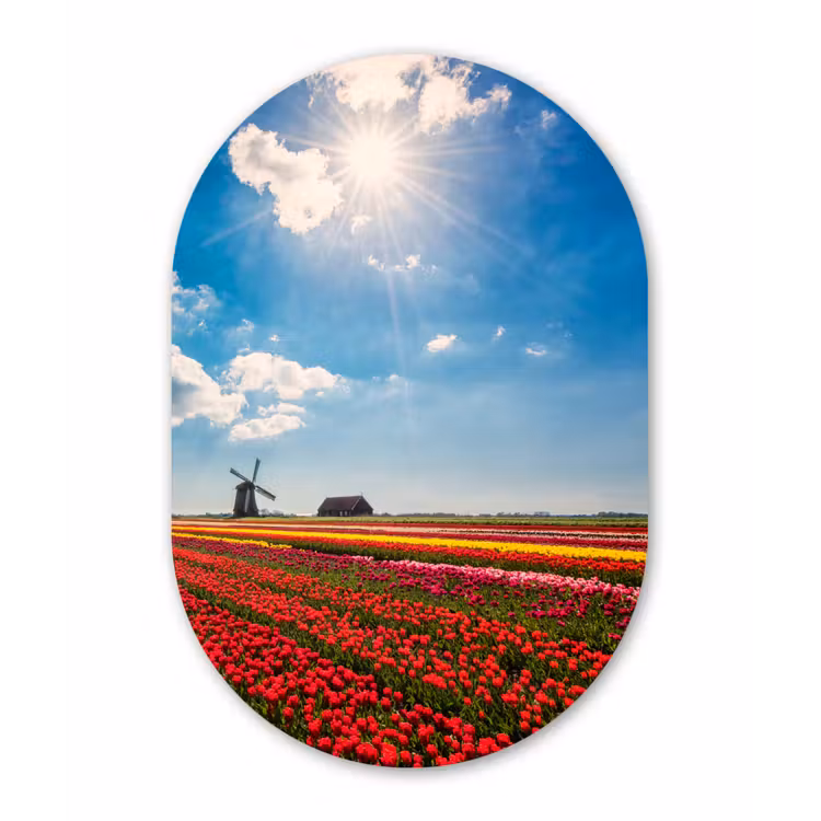 Muurovaal - Kunststof - Indrukwekkend tulpenveld in Nederland — 3