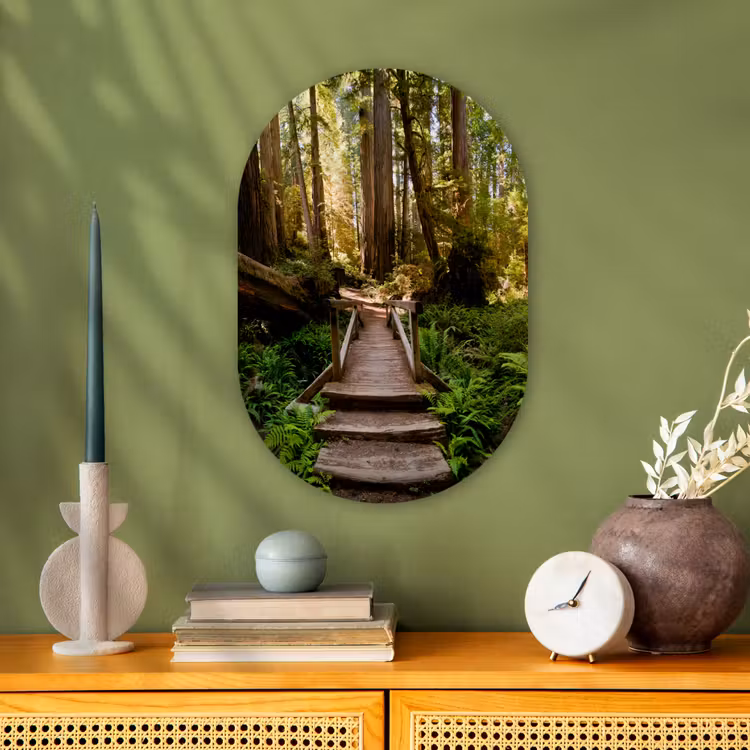 Muurovaal - Jungle - Natuur - Trap - Bomen — 1