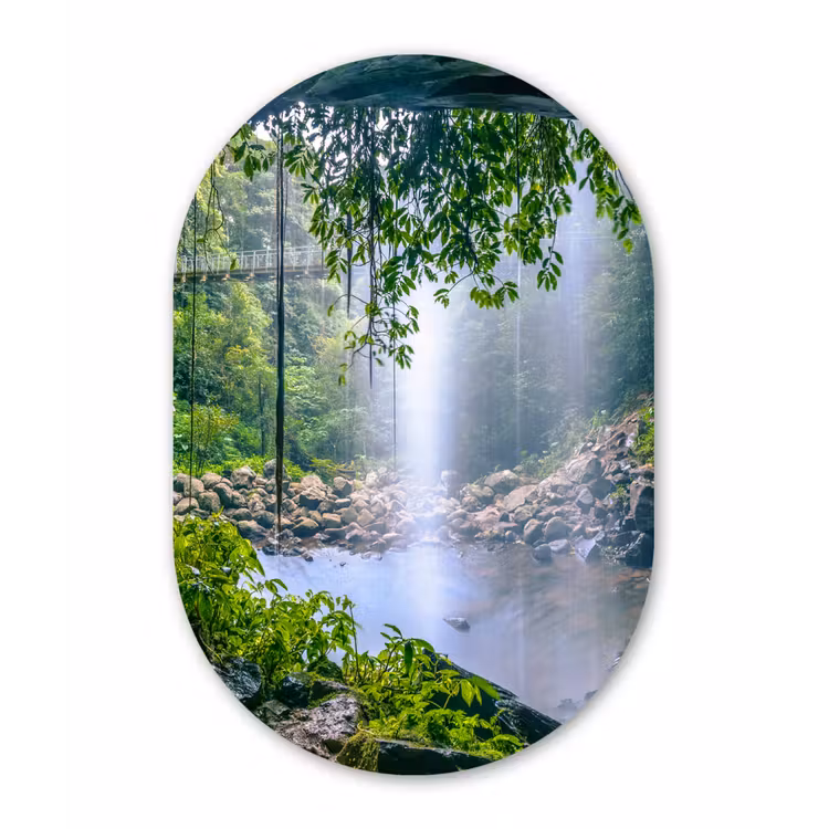 Muurovaal - Jungle - Regenwoud - Water - Waterval - Planten — 3