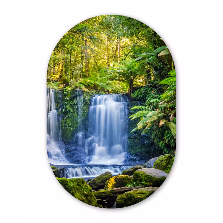 Muurovaal - Jungle - Waterval - Australië - Planten - Natuur — 1