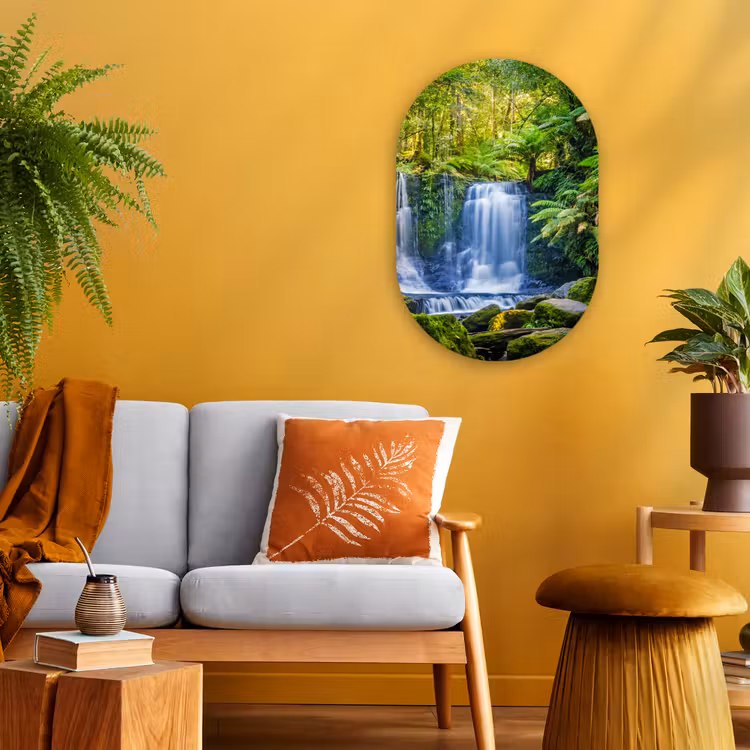 Muurovaal - Jungle - Waterval - Australië - Planten - Natuur — 3
