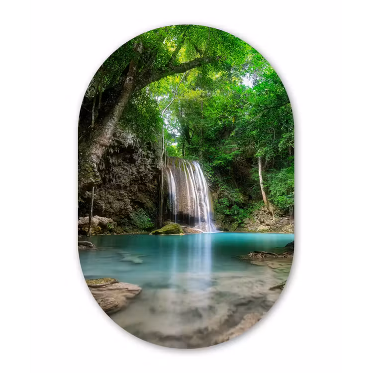Muurovaal - Jungle - Waterval - Planten - Water - Natuur — 3