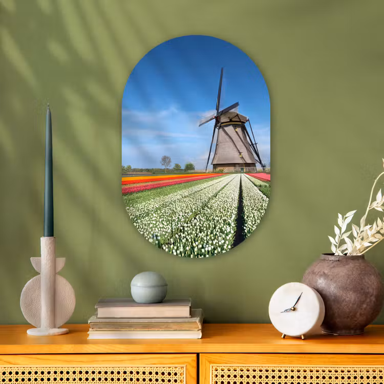 Muurovaal - Kunststof - Molen tussen de tulpen in Nederland — 1