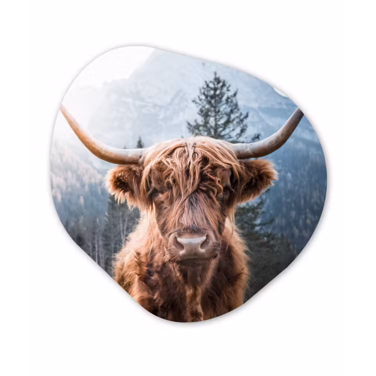 Organische Formen – Aluminium – Schotse hooglander - Berg - Landschap — 1