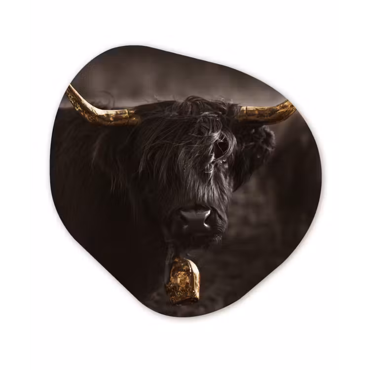 Organische Formen – Aluminium – Schotse hooglander - Goud - Koeienbel — 1