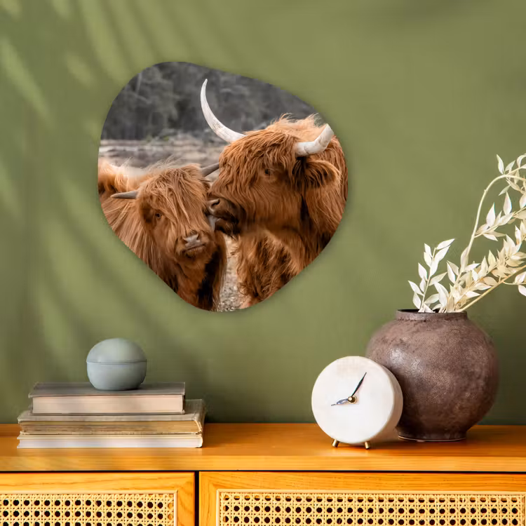 Organische Formen – Aluminium – Schotse hooglander - Koe - Dieren — 2