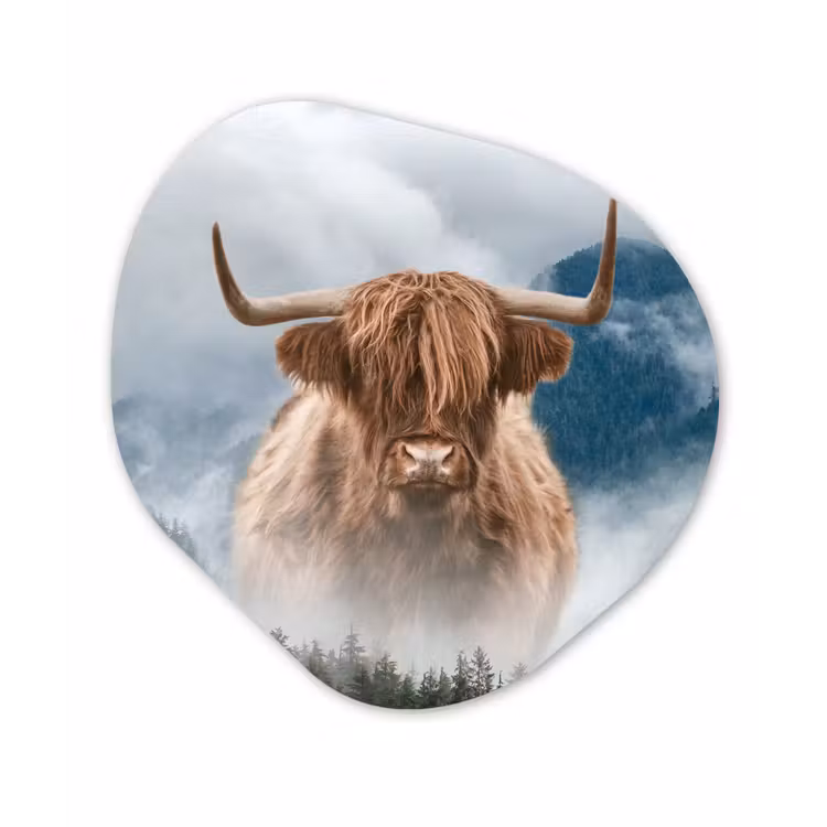 Organische Formen – Aluminium – Schotse hooglander - Mist - Berg — 1