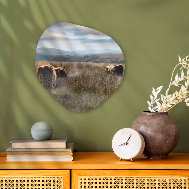 Organische Formen – Aluminium – Schotse Hooglanders - Mist - Gras — 2