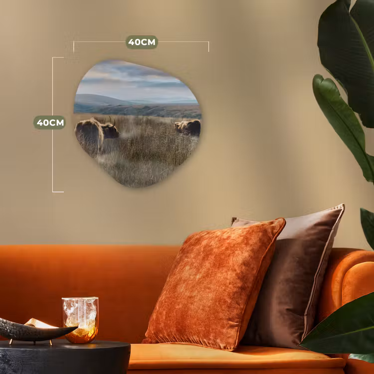 Organische Formen – Aluminium – Schotse Hooglanders - Mist - Gras — 4