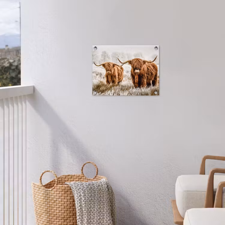 Tuinposter - Hooglanders in de Winter — 3