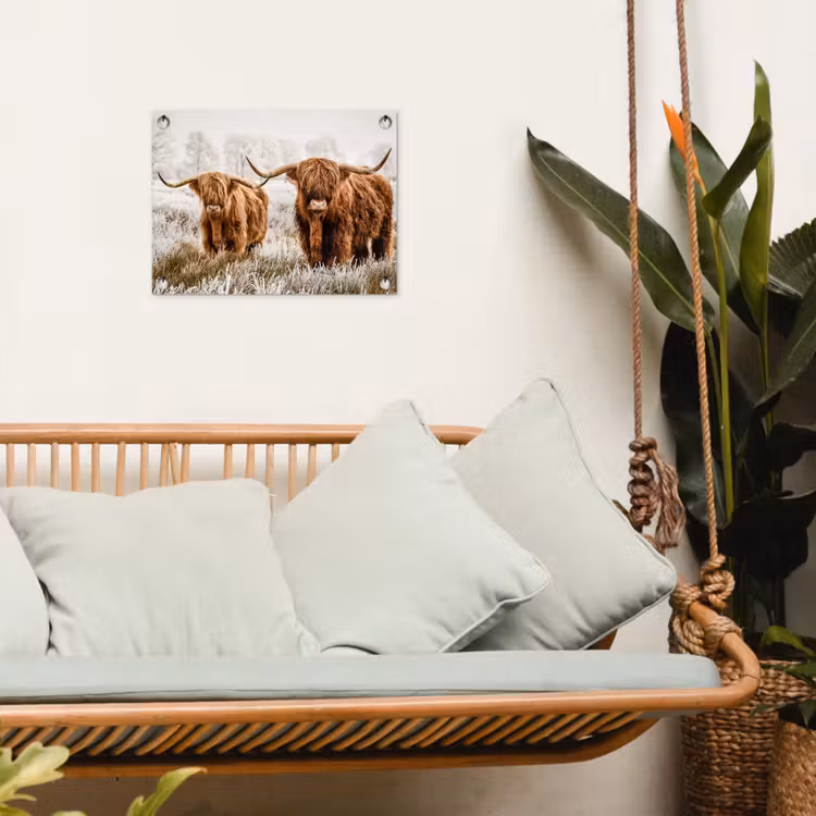 Tuinposter - Hooglanders in de Winter — 5