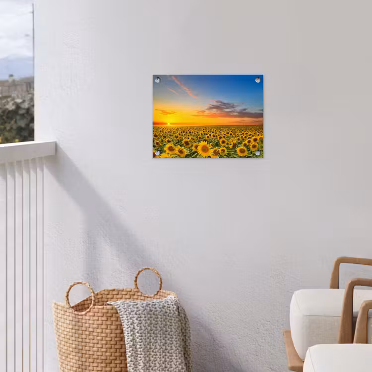 Tuinposter - Uitgestrekt zonnebloemveld bij zonsondergang — 3