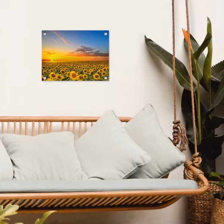 Tuinposter - Uitgestrekt zonnebloemveld bij zonsondergang — 5