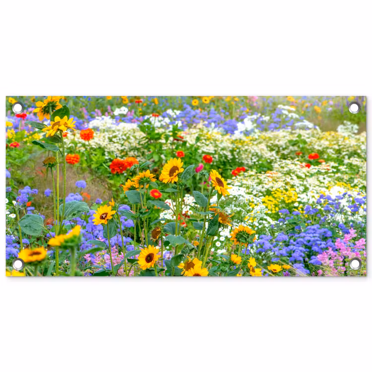 Tuinposter - Zomerbloemen in volle bloei — 1