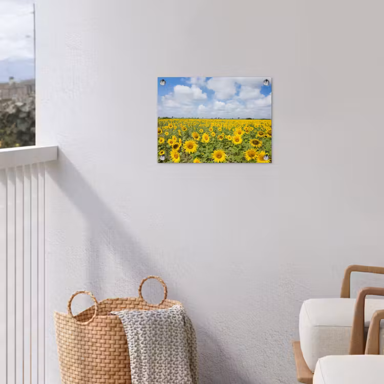 Tuinposter - Uitgestrekt veld zonnebloemen onder een blauwe hemel — 3