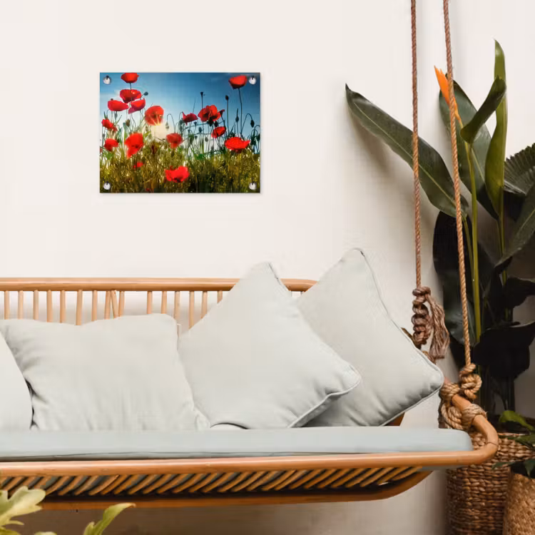 Tuinposter - Klaprozen in ochtendlicht — 5