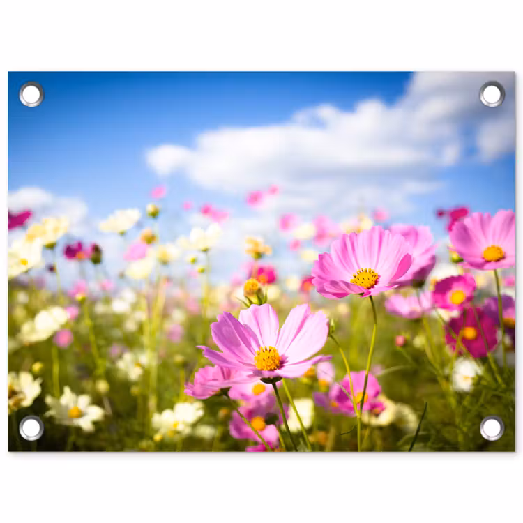 Tuinposter - Veld vol kleurrijke bloemen — 1