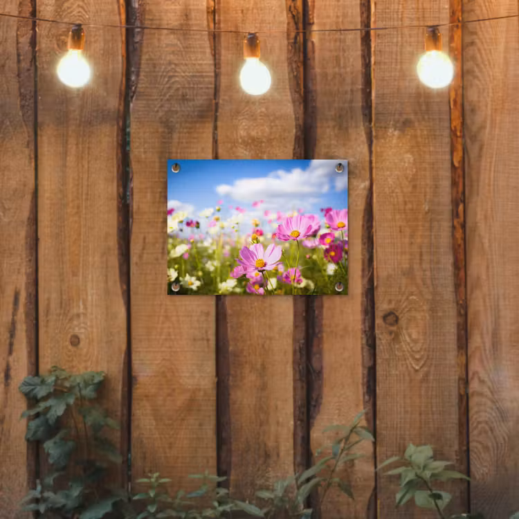 Tuinposter - Veld vol kleurrijke bloemen — 2