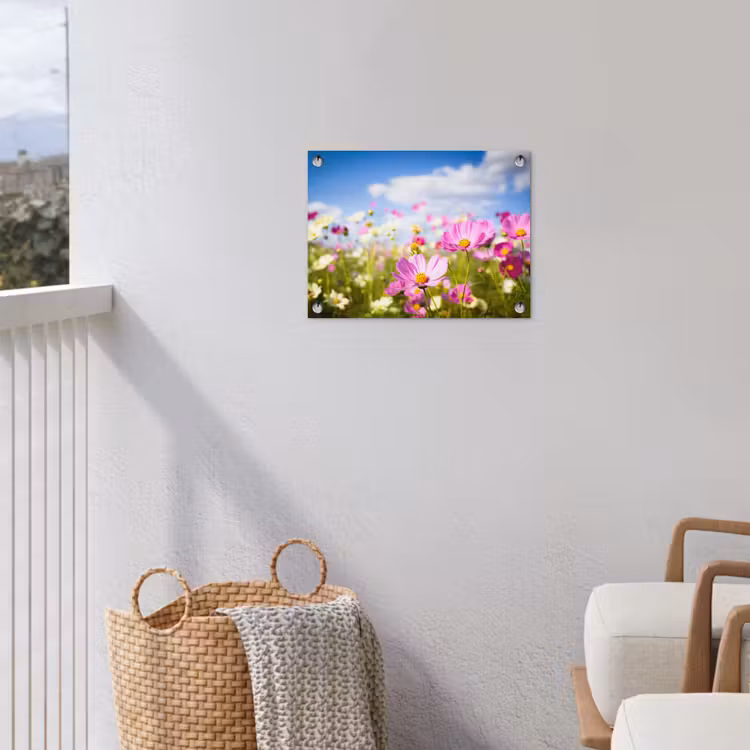 Tuinposter - Veld vol kleurrijke bloemen — 3