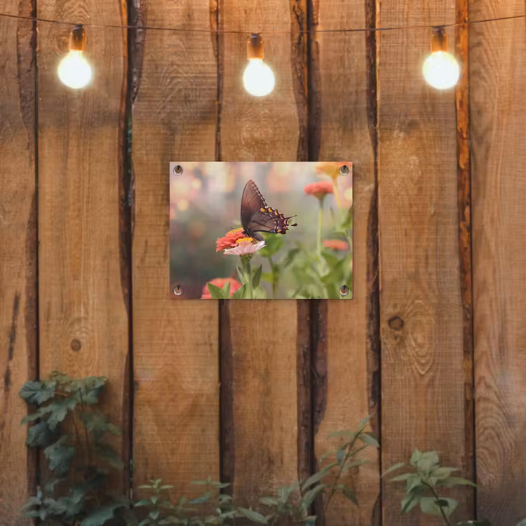 Tuinposter - Vlinder op zomerbloem — 2