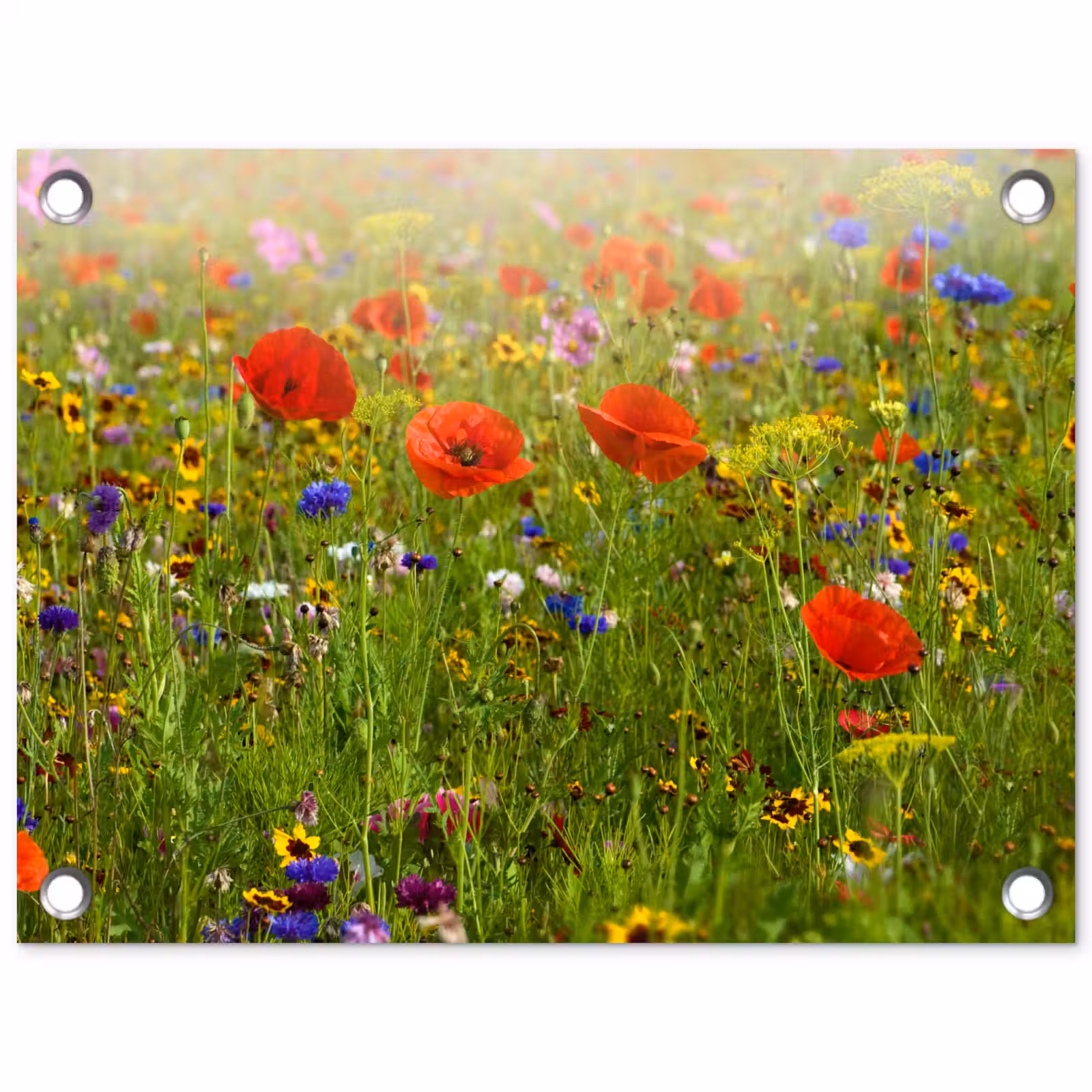 Tuinposter - Weide van wilde bloemen en klaprozen — 1