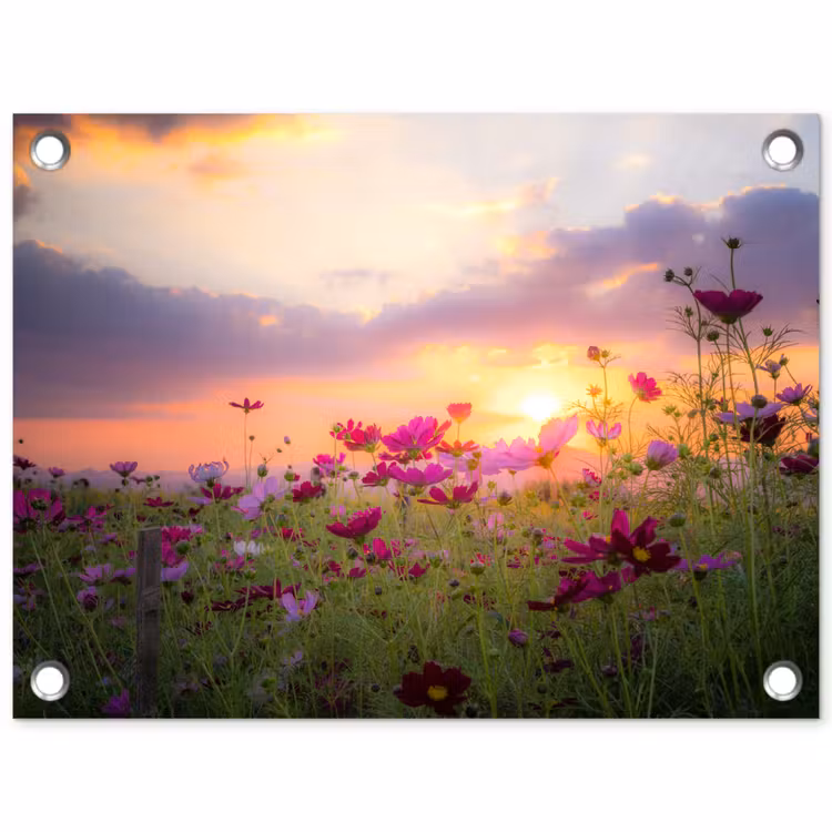 Tuinposter - Bloemenveld bij zonsondergang — 1