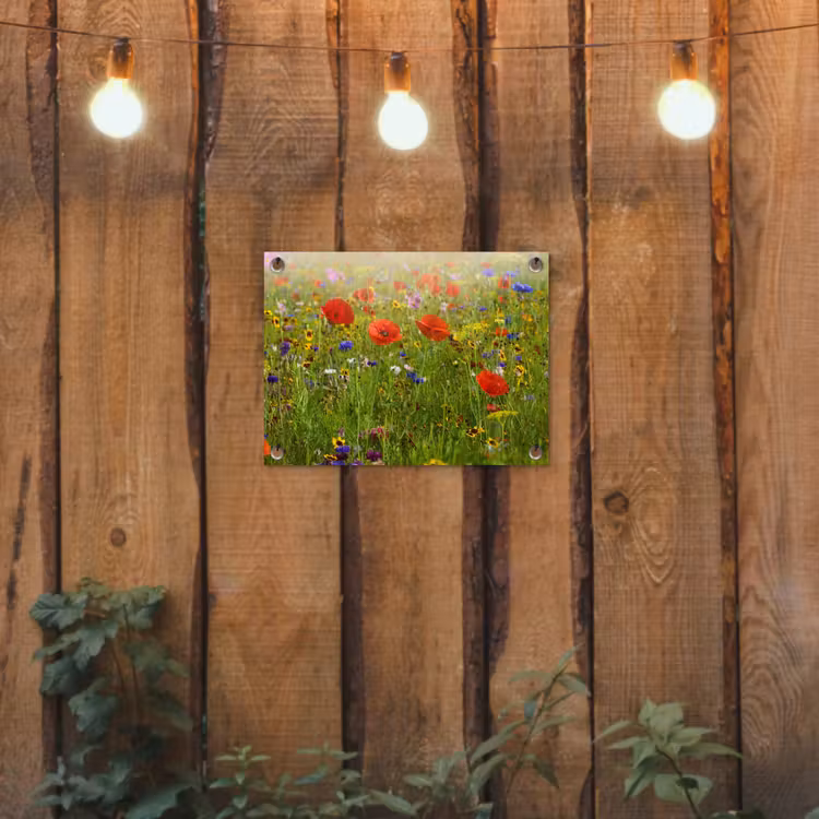 Tuinposter - Weide van wilde bloemen en klaprozen — 2