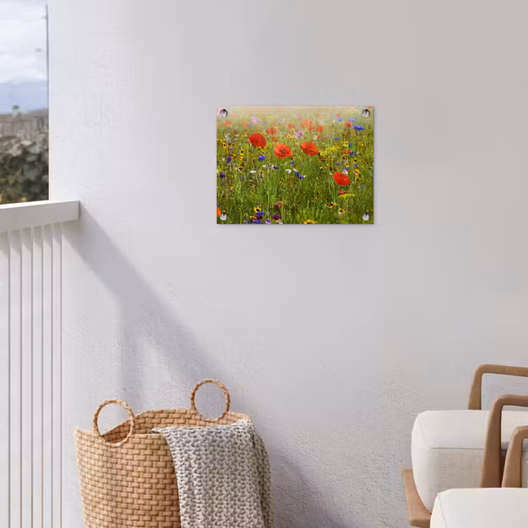 Tuinposter - Weide van wilde bloemen en klaprozen — 3