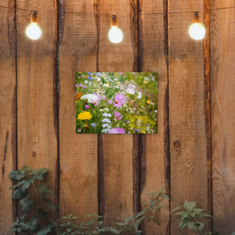 Tuinposter - Wilde bloemen in volle bloei — 2