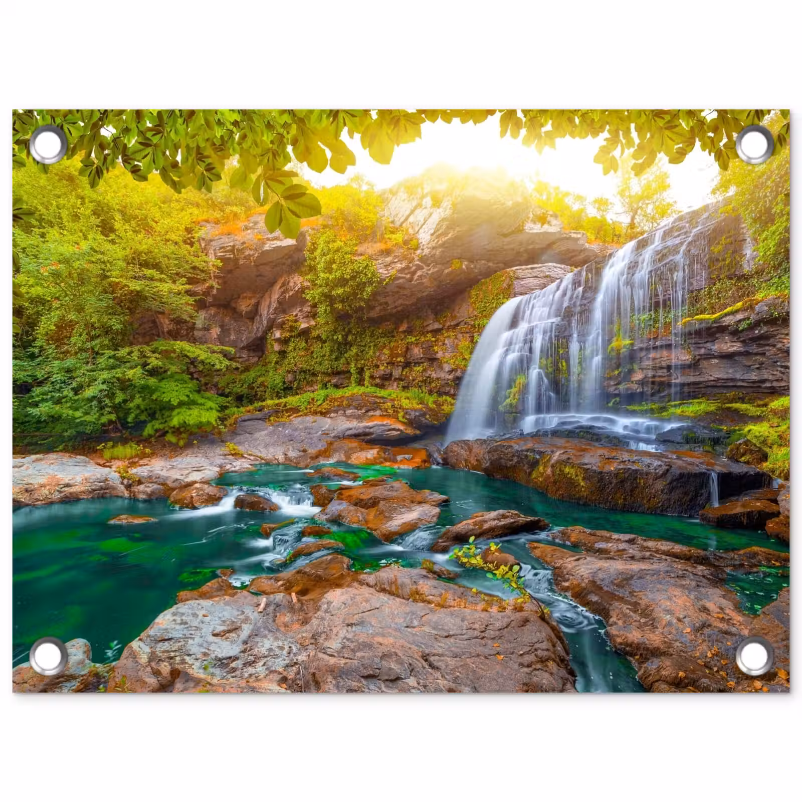 Tuinposter - Waterval in een weelderig bos — 1