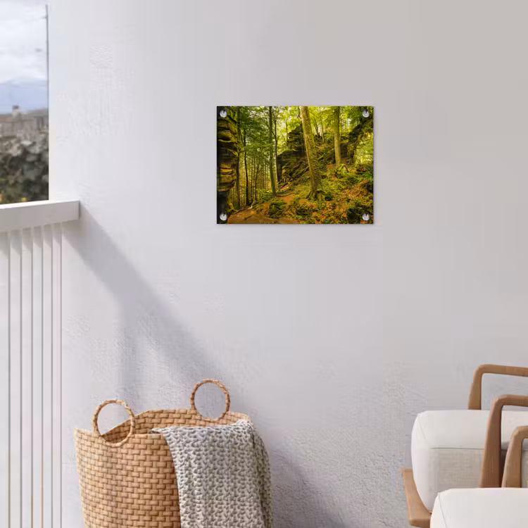 Tuinposter - Bos met Rotsen en Mos — 3