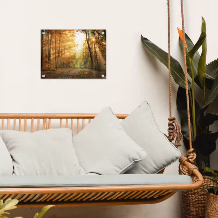Tuinposter - Herfstbos in gouden zonlicht — 5