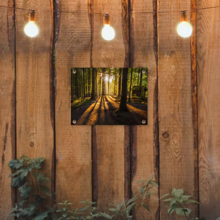 Tuinposter - Bos met Zonnestralen en Hut — 2