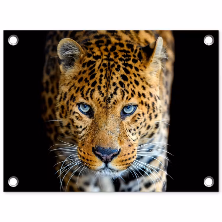 Tuinposter - Intens portret van een luipaard — 1