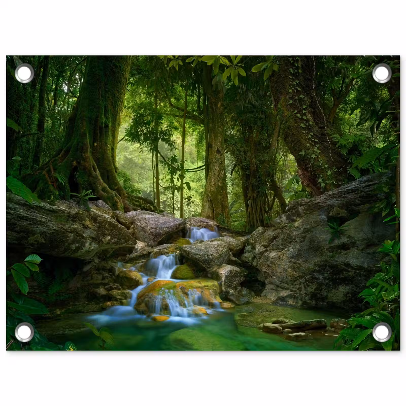 Tuinposter - Waterval in het Regenwoud — 1
