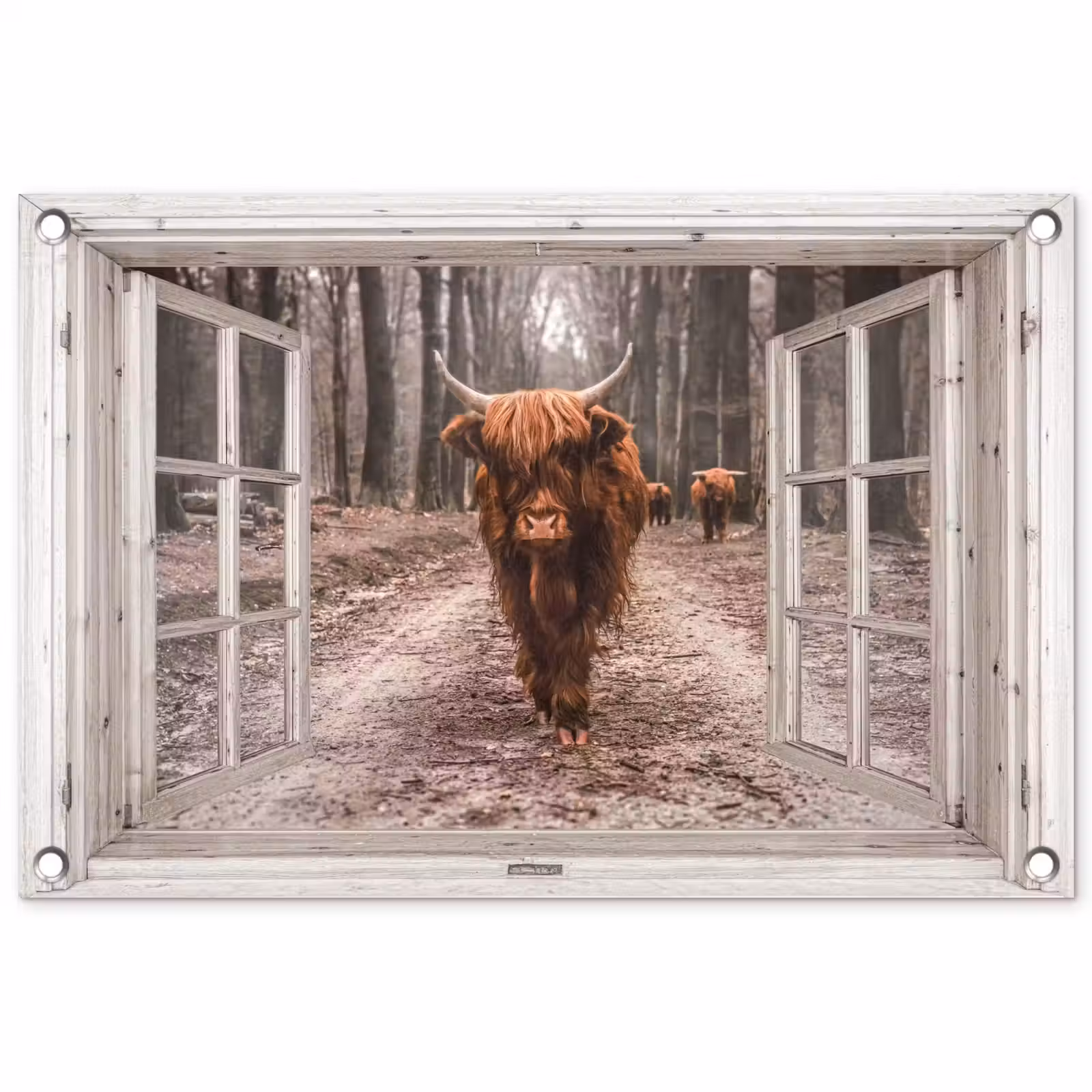 Tuinposter - Hooglander door het Raam — 1