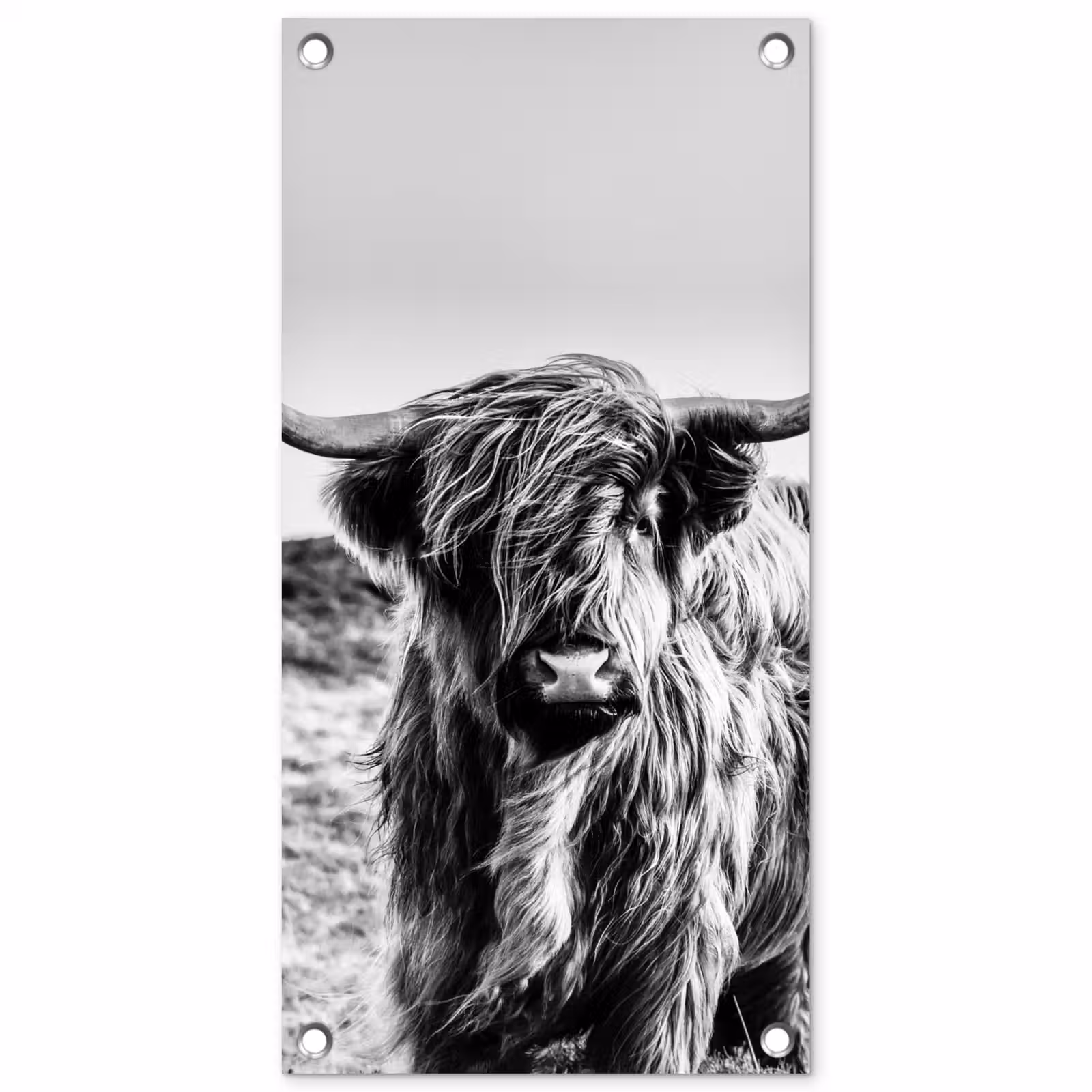 Tuinposter - Stoere Hooglander — 1