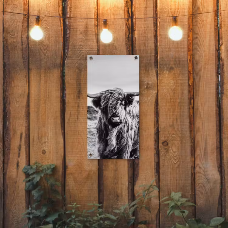 Tuinposter - Stoere Hooglander — 2