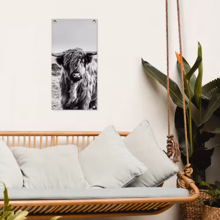 Tuinposter - Stoere Hooglander — 5